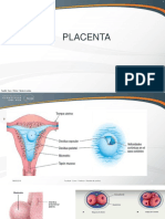 Placenta