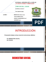 11 Externalidades Del Cacao