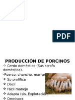 PORCINOS