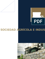 Proyecto Integrador Sociedad Agrícola e Industrial San Carlos S.A.