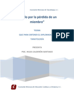 233 Duelo PDF