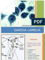 Giardia