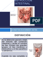 Obstruccion intestinal.pptx