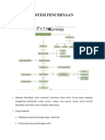 Sistem Pencernaan Manusia