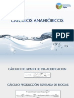 Calculos Anaerobicos.pdf