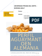 Aguaymanto - Perfil - Comercio Exterior