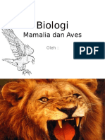 Biologi Mammalia Dan Aves
