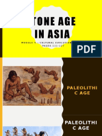 Stone Age Cultural Evolution in Asia