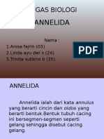 Annelida