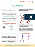 Alcaptonuria PDF