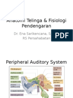 Anatomi Telinga & Fisiologi Pendengaran