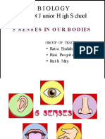 Biology Class IX J Unior H Igh S Chool: 5 Senses in Ourbodies