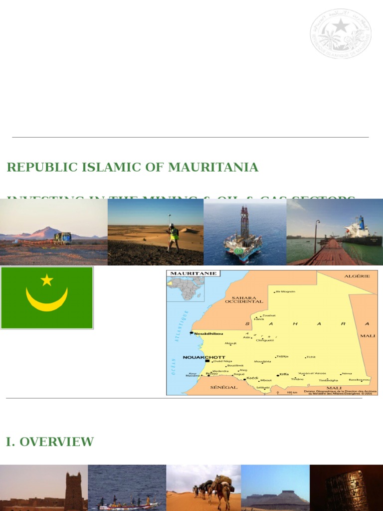Mauritania Investing in the Mining Oil Gas Sectors Mining Iron Ore