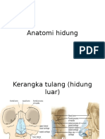 Anatomi Hidung Fixxx