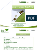 ICA-Moscas-de-las-Frutas.pdf