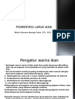 02 Pigmentasi Larva Ikan