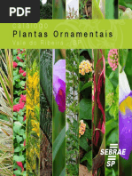 catalogo_plantas_ornamentais_Flor de Cactos..pdf