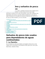 Los 10 Cebos y Señuelos de Pesca Más Usados