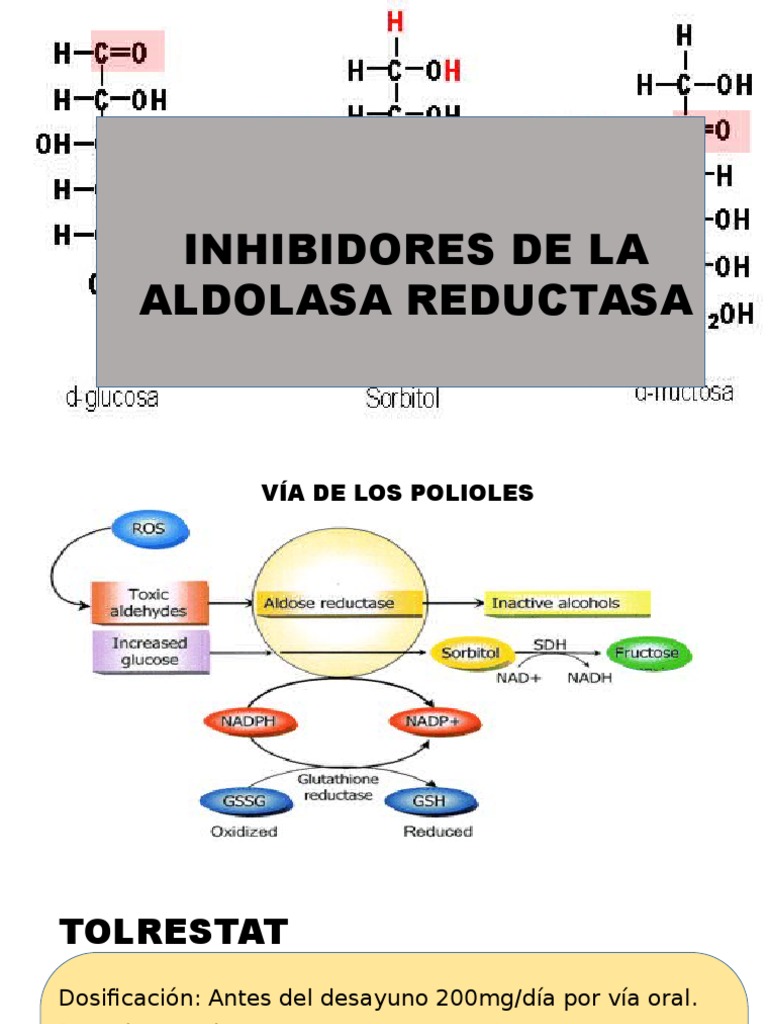 Inhibidores de La Aldolasa Reductasa | PDF