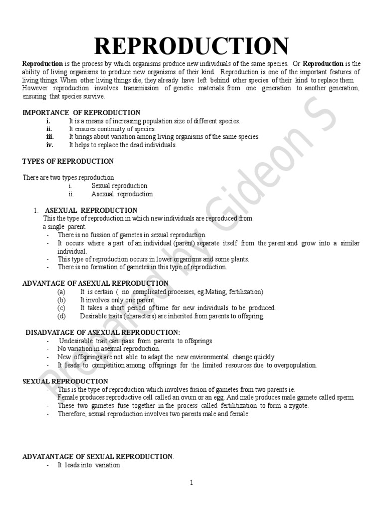 😀 Importance of reproduction. What is the importance of DNA copying in