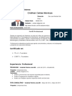 CV Caldas Mendoza Cristhian