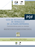 guia_de_reconocimiento_y_manejo_de_pastos_de_la_pampa_deprimida.pdf
