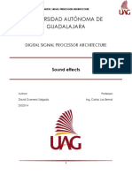 Universidad Autónoma de Guadalajara: Digital Signal Processor Architecture