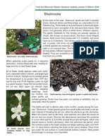 Shamrocks: A Horticulture Information Article From The Wisconsin Master Gardener Website, Posted 13 March 2009