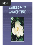 Download 05-divisi-magnoliophyta-01pdf by Shindi Dwi Agustiana SN349787985 doc pdf