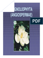 05 Divisi Magnoliophyta 01 PDF