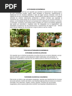 actividades economicas