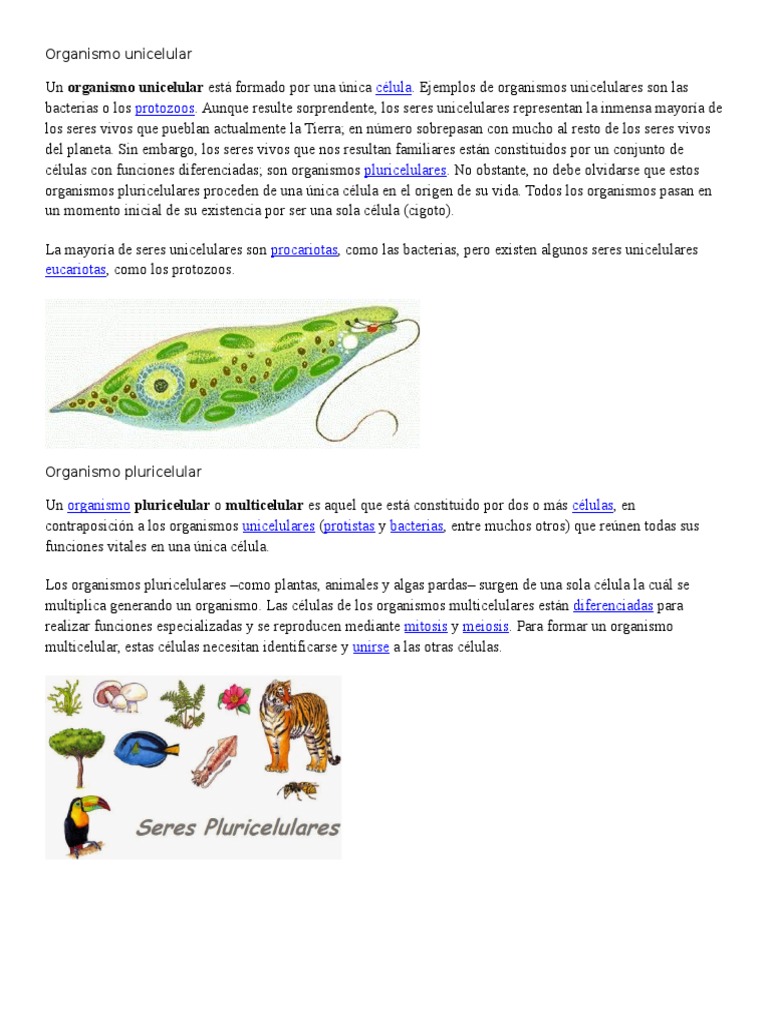 Organismo Unicelular | PDF