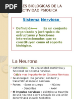 Bases Biológicas de Psicologia