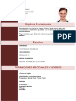 Curriculum Vitae