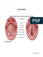 Vocal Fold Diagram: 2014 - For Study Purposes Only