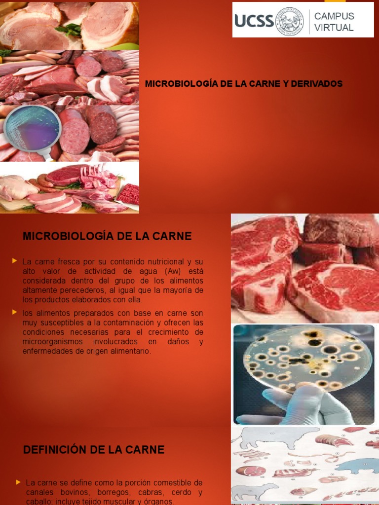 Microbiología y conservación de la carne | PDF | Carne | Alimentos