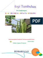 Morfologi Tumbuhan Di Lingkungan SMAN 14 Tangerang