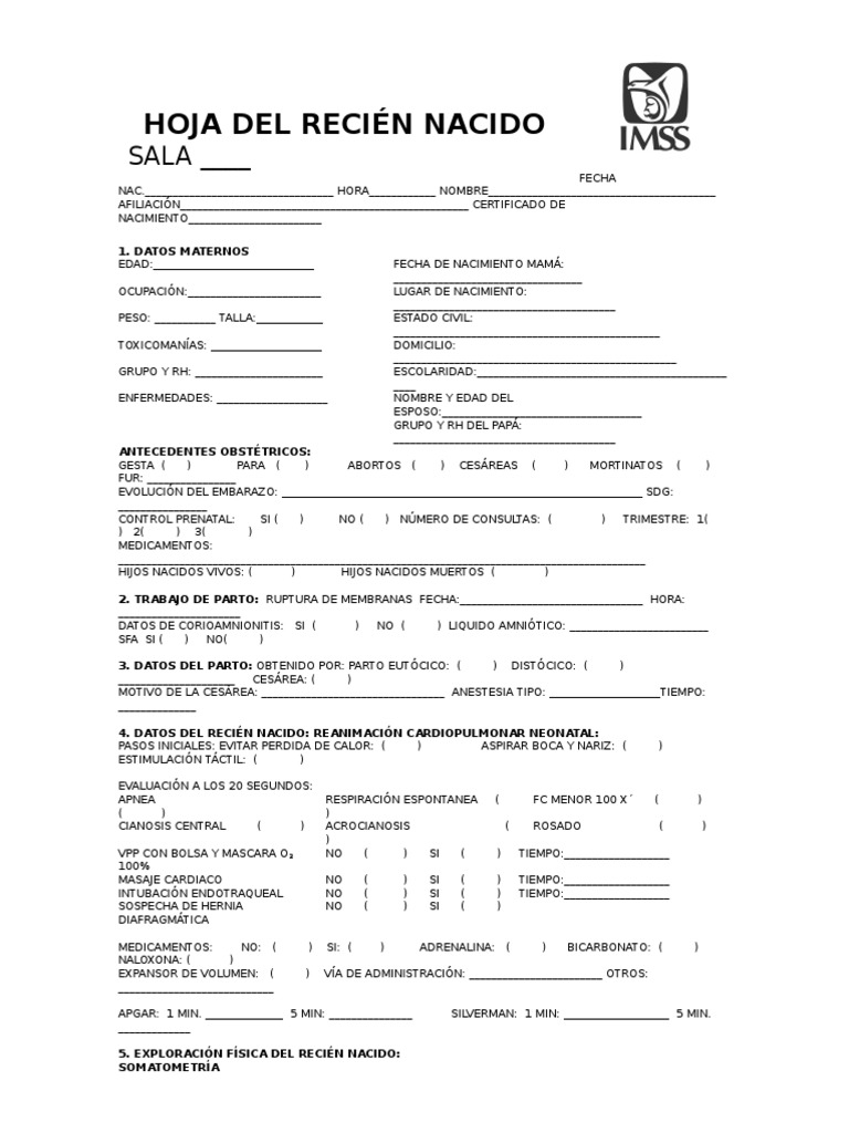 Hoja Del Recién Nacido | PDF