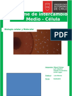 Informe de Intercambio de Medio 