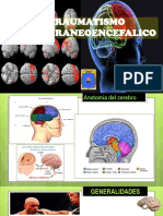 traumatismocreneaocefalico 2015.pdf