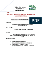 INFORME_FINAL_BIOPROCESOS_GRUPO_A1.docx