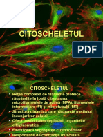 Curs Nr. 5 Cit - Nou