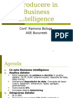 Introducere Business Intelligence
