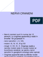 Nervii Cranieni