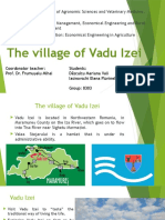 The Village of Vadu Izei