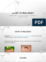 Malaria Health Power Point