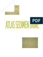 Cover Atlas Sedimen Urine