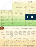 Chart Microbiologico