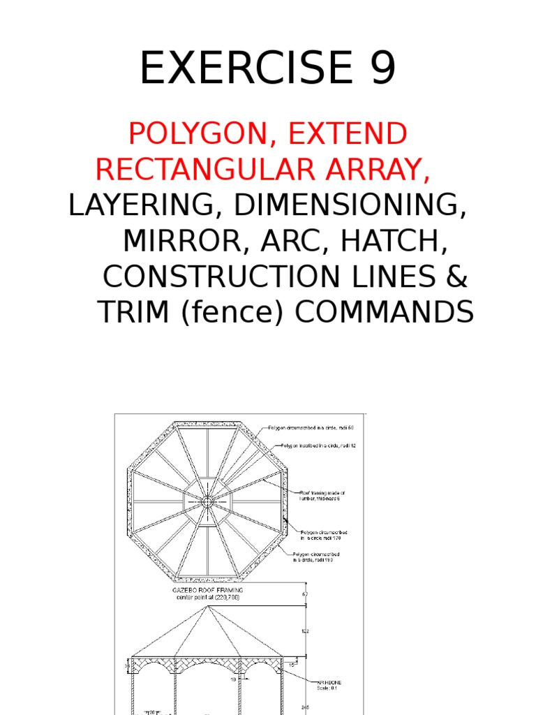 Exercise 9: Polygon, Extend Rectangular Array | Download Free PDF ...