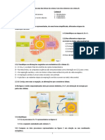 Ficha Biol 10º 2 Obtenção Energia